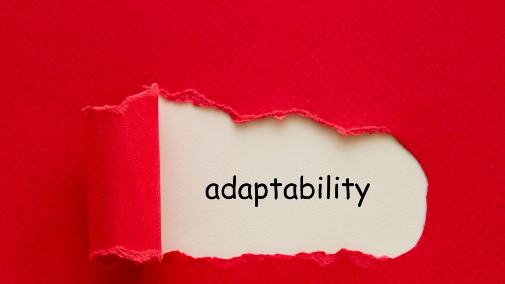 WordPress adaptability